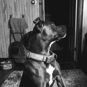 Meet your Posher, Keri